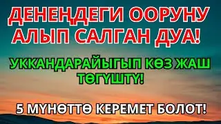 Оорудан тезинен кутулуу: Бул күчтүү дуба менен 5 мүнөттө жеңилдикке жет. | 6