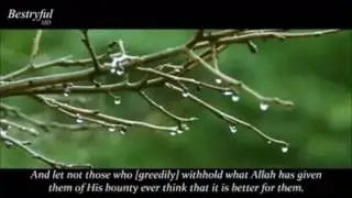 Quran Recitatoin -- very beautiful & emotoinal -- by Mu'ayyid al-Mazen.