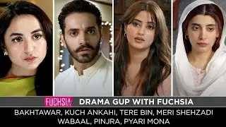 Kuch Ankahi | Tere Bin | Wabaal | Meri Shehzadi | Bakhtawar | Pinjra | Pyari Mona | Drama Gup