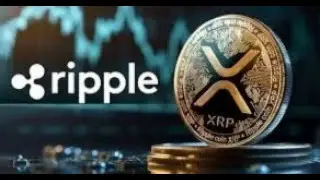 Leading Crypto Exchange (Bitstamp & Gemini) Encourages XRP Holders Not to Sell Their Bags!