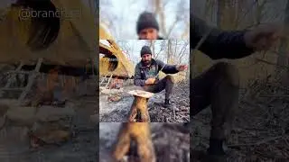 Building a Survival BushCraft Camping Shelter in Forest ASMR🎧🫢