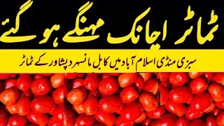 Tomato become expensive | Kabul Peshawar tomato Update | Sabzi Mandi Islamabad | 19 July 2025 Today 