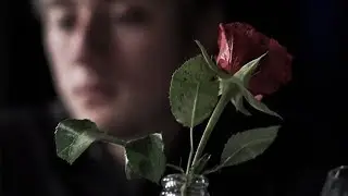 Moe - Roses (Official Video)