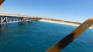 Exmouth Navy Pier Dive - July 2023