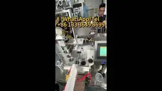 ice cube into cup rotary filling sealing machine #fillingsealingmachine #packingmachine #icecube