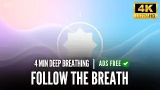 4-7-8 Guided Breathing With Timer | 4 Minutes | Technique With Counter Timer