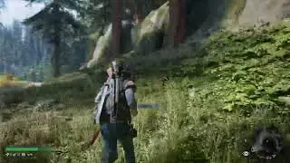 Days Gone | PS4 pro GAMEPLAY