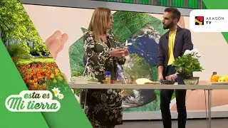 Proyectos de reciclaje que impulsan la economía circular