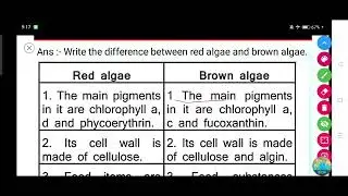 Write the difference between red algae and brown algae.