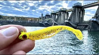 Fall Walleye Fishing