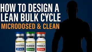 How to Design a Lean Bulk Cycle (Microdosed & Clean)🔥 Build Quality Muscle with Test, EQ, and Primo