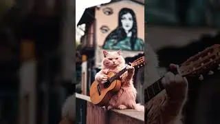 Animals playing guitar #cute #happyghost #animalshorts
