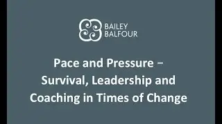 Pace and Pressure   Survival, Leadership and Coaching in Times of Change