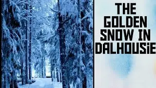 Ongoing Snowfall In Dalhousie Today# Dalhousie# Chamba District#Himachal Pradesh#India#Himalayas