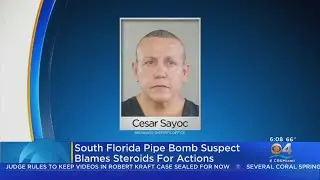 Cesar Sayoc, Accused Of Sending Mail Bombs To Trump Critics, Blames Steroids