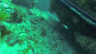 Pesca Sub Dent&atilde;o - Paulo Pacheco PKSUB V&iacute;deo HD 1/2014