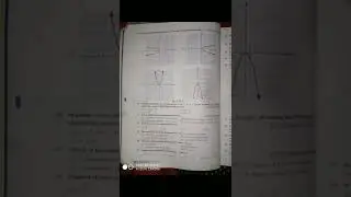 class 10 maths chapter 2 polynomials most important mcqs #class10maths