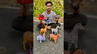 4 Rc Animals, Horse 🐎 Rabbit 🐇 Zebra 🦓 Deer 🦌Testing