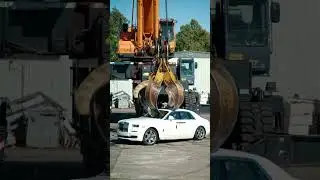 Cat Crush A Rolls-Royce #ai #cat #viralvideo #shorts