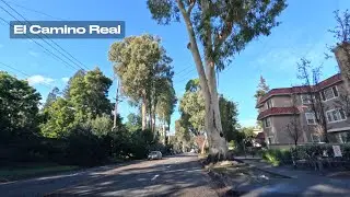 San Mateo &rarr; Burlingame | El Camino Real &mdash; Real-Time Drive (No Music)