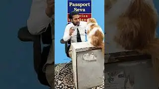 corruption😯😯😯#catvideos #billuvideo #sajidcat #funnycat #shortvideo #youtube