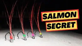 TRANSFORM Your Salmon Fishing With This SIMPLE Tip!