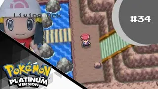 Iron Island Pokemon Platinum Living Dex Part #34 [ Fast Foward + No commentary ]