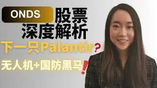 ONDS股票深度剖析：十倍股潜质？下一个Palantir? 拆解工业互联网与无人机新贵 #ONDS#ONDS股票#Ondas
