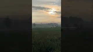 Digital Detox in 32 Sec: Rice Field Magic 🌄 | AuraVillage #shorts #asmr