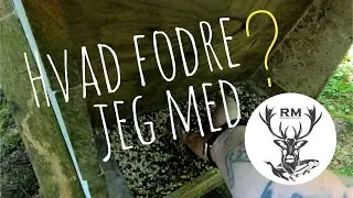 Kom med p&aring; foderpladsen - Hvad fodre jeg med?