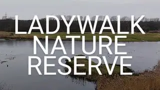 LADY WALK NATURE RESERVE - WHITACRE HEATH