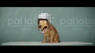 hello i am dog #312