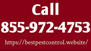 Somerset Pest Control - Pest Control Somerset New Jersey NJ