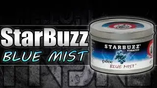 Starbuzz Blue Mist- Hookah Flavor Review