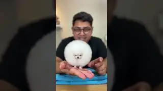 Tivemos um reencontro aqui galera #viralvideo #pets #i #cat