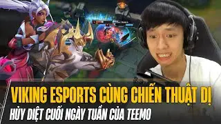 VIKING ESPORTS CÙNG CHIẾN THUẬT SIÊU DỊ TẠI MÁY CHỦ EUW ĐÃ HỦY DIỆT CUỐI TUẦN CỦA TEEMO NHƯ THẾ NÀO