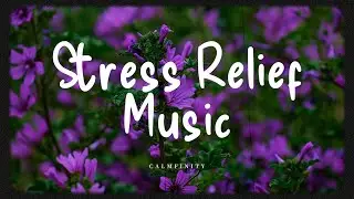 Calm & Soothing Flower Fields with Birds Chirping | Relaxation, Meditation & Sleep