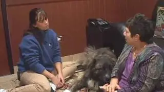Animal Massage Part 2.mp4
