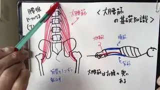 大腰筋ウェーブのやり方【大腰筋トレーニング】