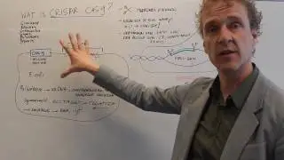 Wat is CRISPR?