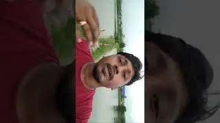Highlight 0:00 &ndash; 2:59 from Parijoy Fish Farm is live