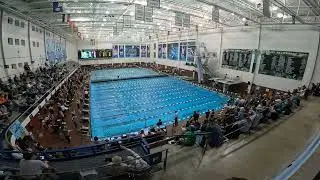 100 Fly   Holder