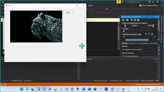 Cargar IMAGEN en Form Visual Basic .NET | OpenFileDialog