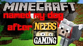 Named my first tame this neebs gaming guy !? Minecraft Hardmode ep 6 | Stream