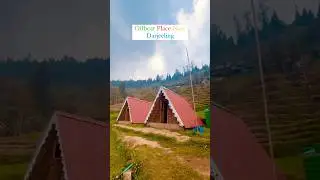 Offbeat Place Near Darjeeling🏕️ #offbeatdestination #northbengal #shorts