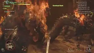 Frenzy Virus