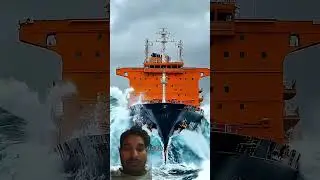 Dharti ka dusara sabse bada #birds #facts #tiktok #ytshorts #trending#ytviral #yt #ytshortsindia