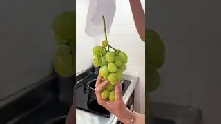 Japanese green grapes