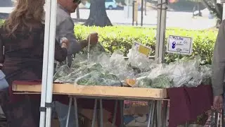 Some Stockton families stuck in SNAP limbo during government shutdown