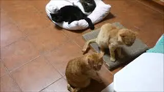partička z kuchyně (18.10.2021)